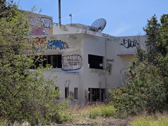 Governance and board work